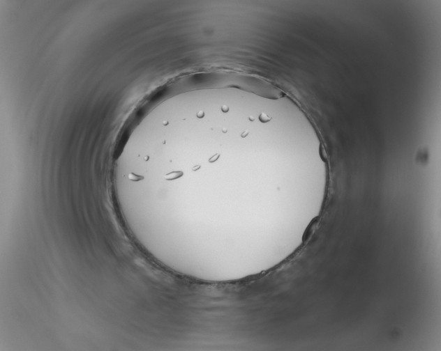 X0000116300241200912211907