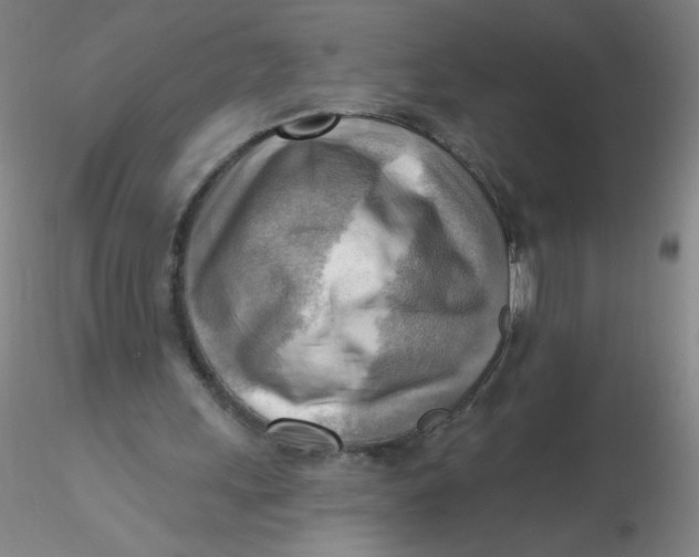 X0000116300243200912211907