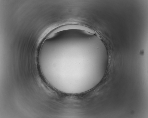 X0000116300244200912211907