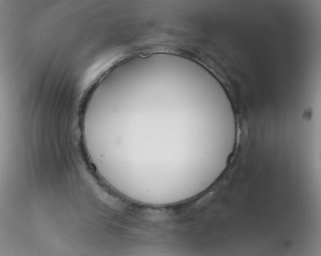 X0000116300245200912211907