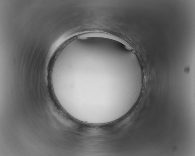 X0000116300246200912211907