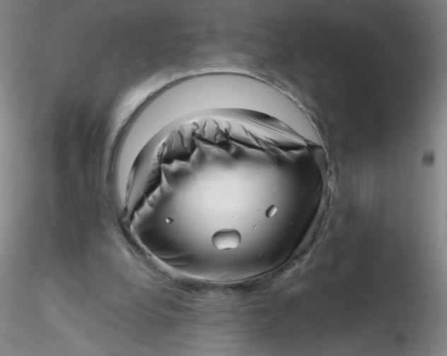 X0000116300248200912211907