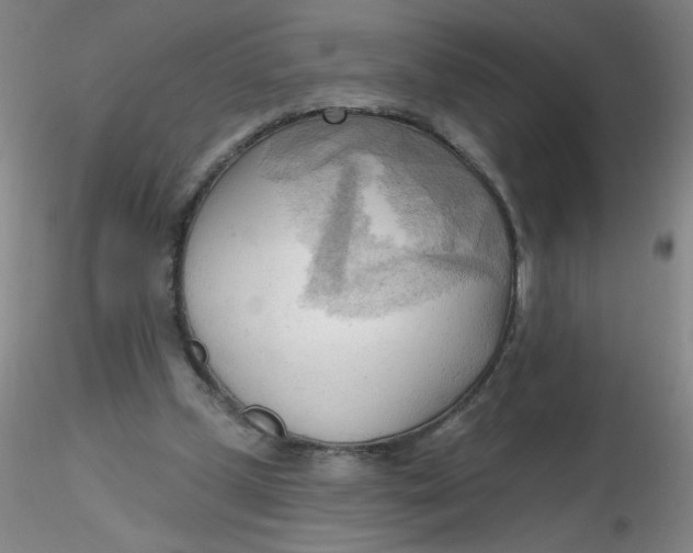 X0000116300249200912211907