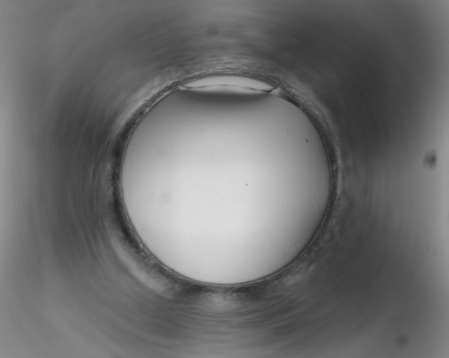 X0000116300250200912211907