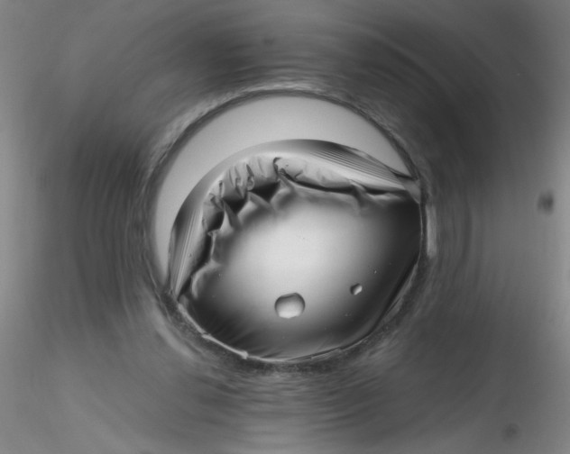 X0000116300252200912211907