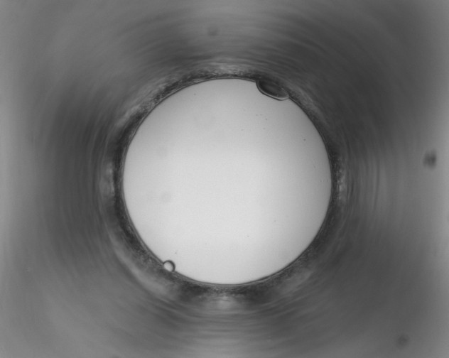 X0000116300254200912211907