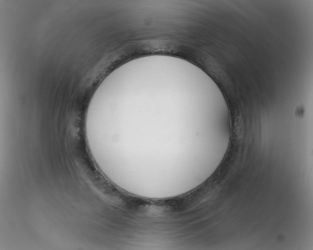 X0000116300255200912211907