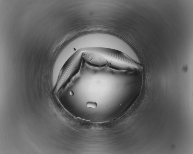 X0000116300256200912211907