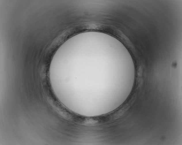 X0000116300257200912211907