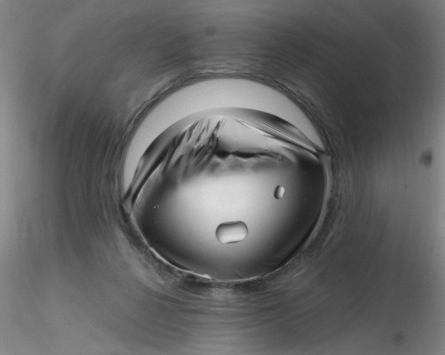 X0000116300264200912211907