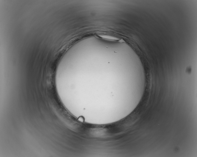 X0000116300266200912211907