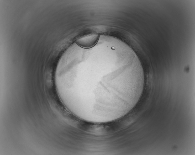 X0000116300267200912211907