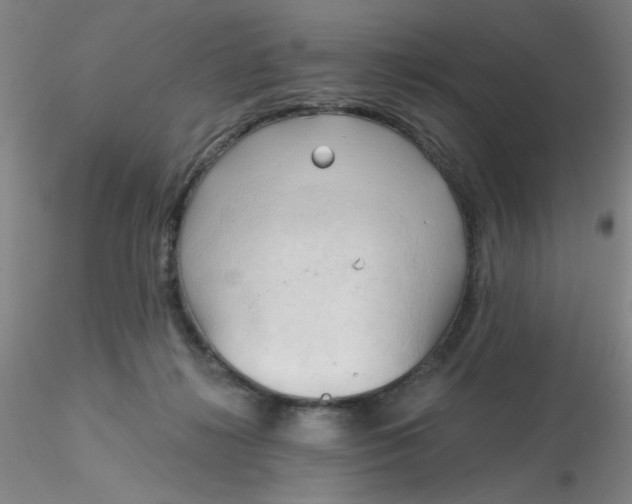 X0000116300268200912211908