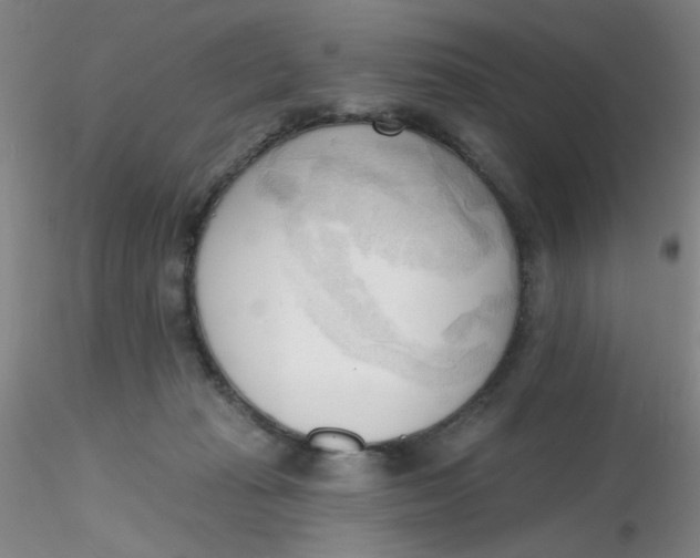 X0000116300269200912211908