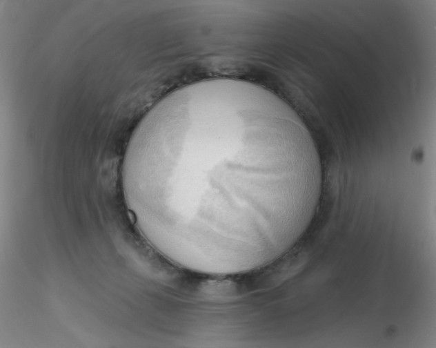 X0000116300271200912211908