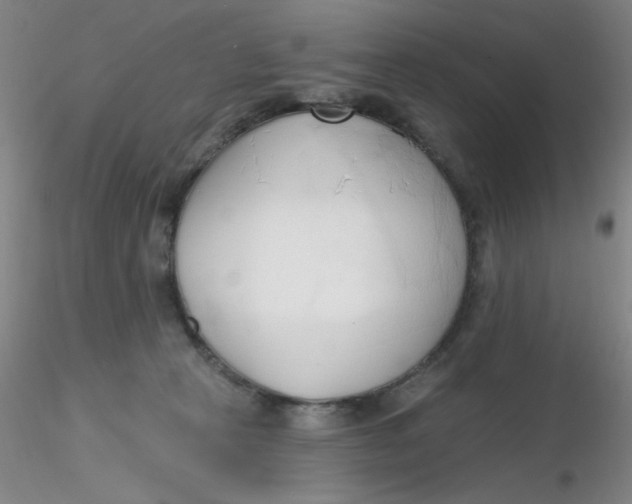 X0000116300273200912211908