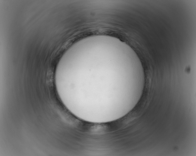 X0000116300274200912211908