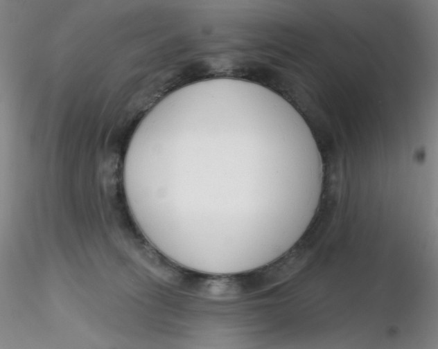 X0000116300275200912211908