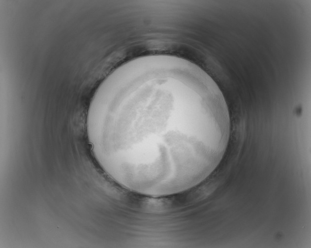 X0000116300277200912211908