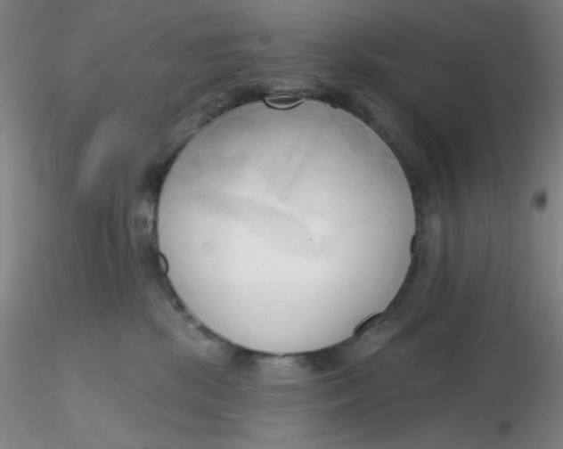 X0000116300281200912211908