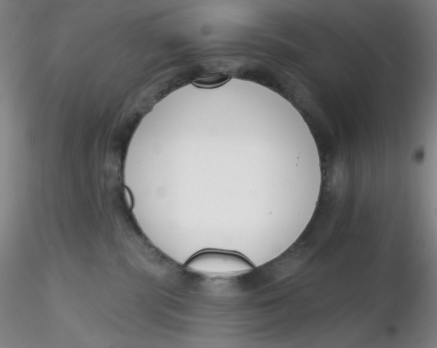 X0000116300283200912211908