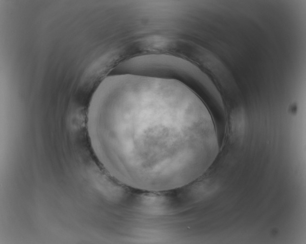 X0000116300284200912211908