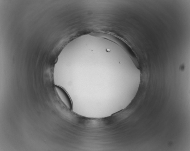 X0000116300286200912211908