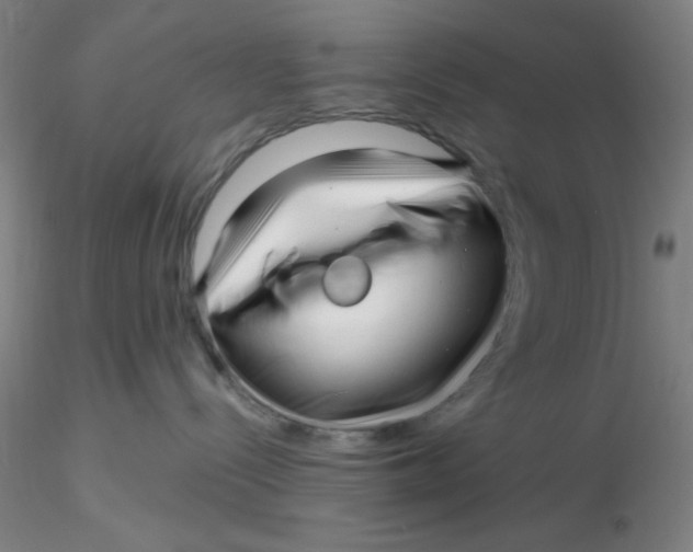 X0000116300288200912211908