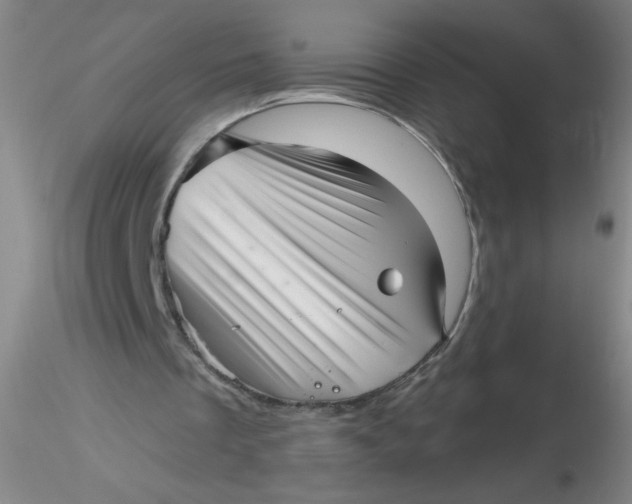 X0000116300289200912211907