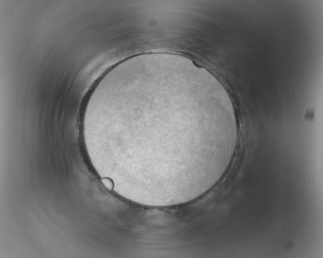 X0000116300290200912211907