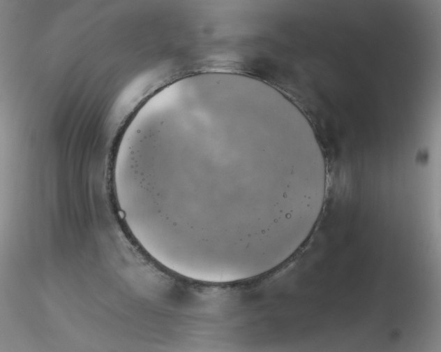 X0000116300293200912211907