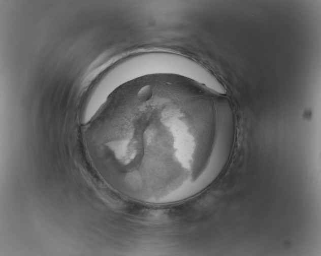 X0000116300295200912211907