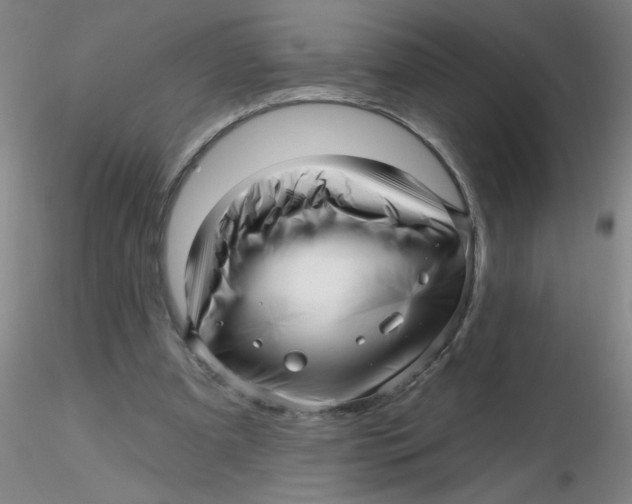 X0000116300297200912211907