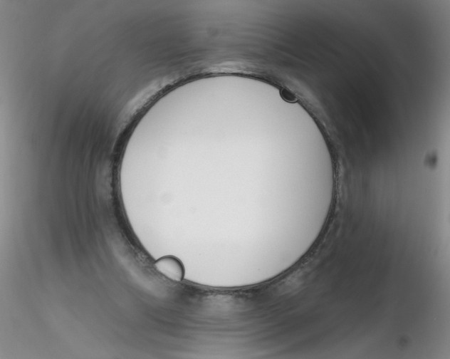 X0000116300298200912211907