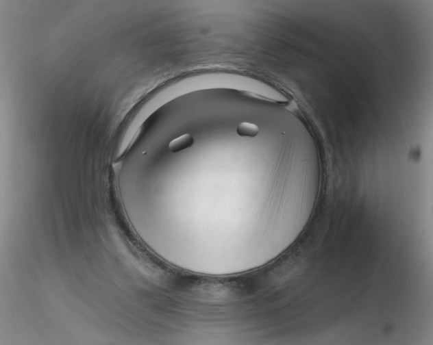 X0000116300299200912211907