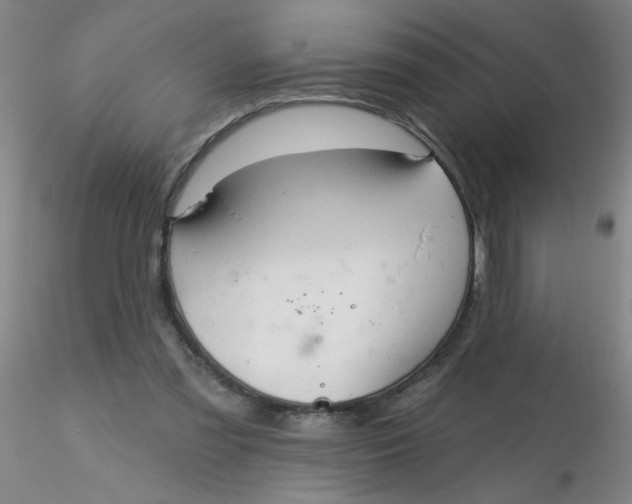 X0000116300301200912211907