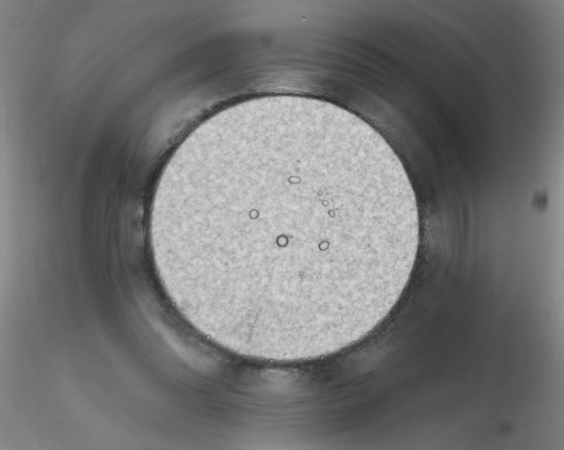 X0000116300302200912211907