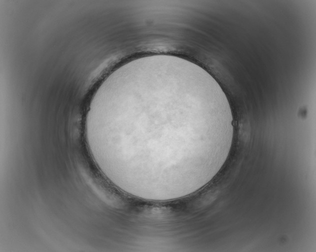 X0000116300304200912211907