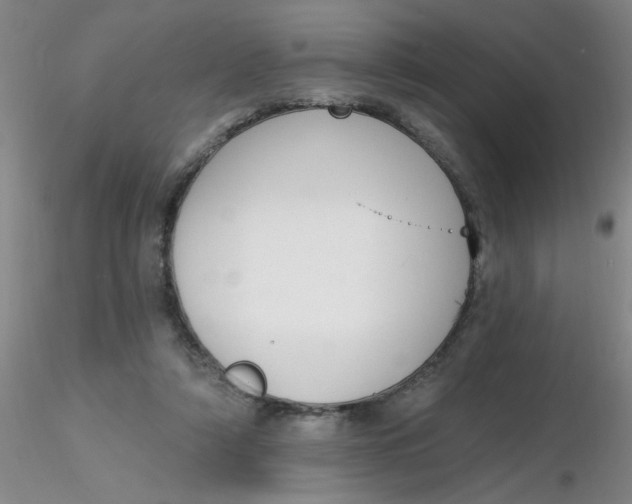 X0000116300306200912211907