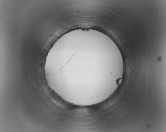 X0000116300307200912211907