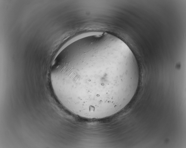 X0000116300309200912211907