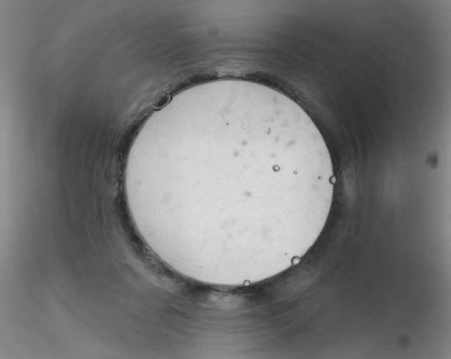 X0000116300311200912211907