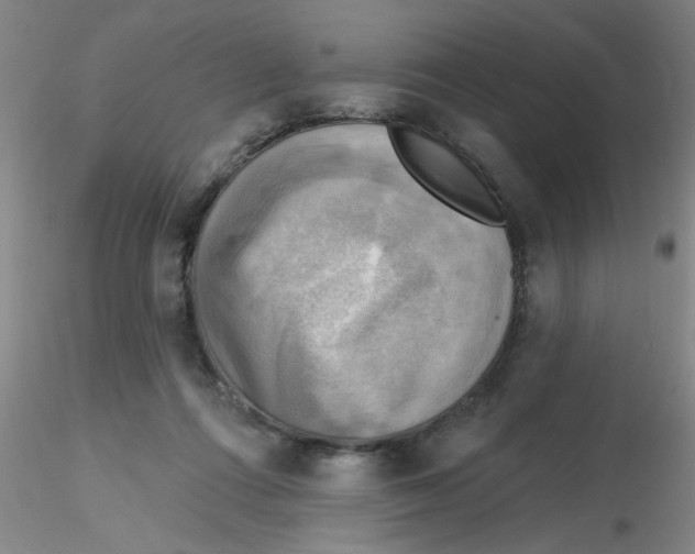 X0000116300312200912211907