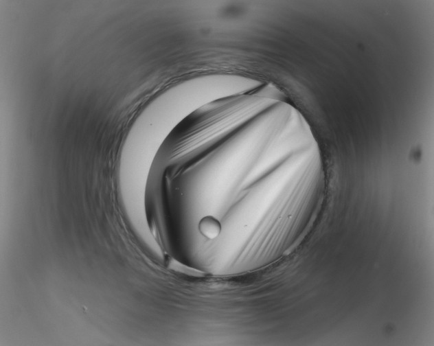 X0000116300313200912211907