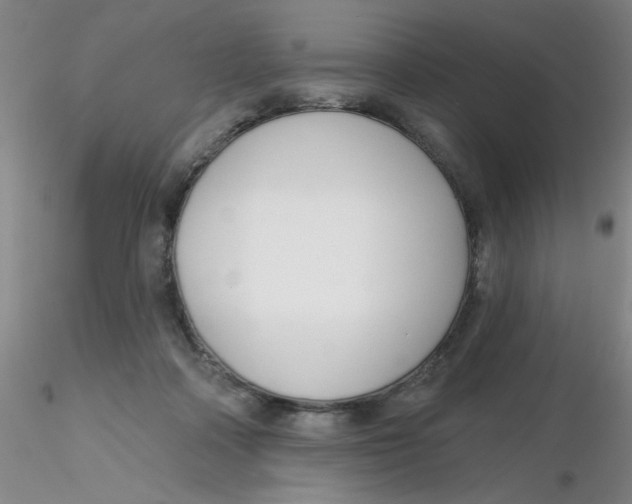 X0000116300314200912211907