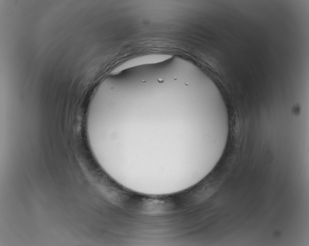 X0000116300315200912211907