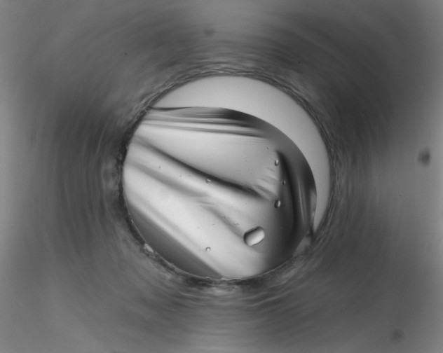 X0000116300317200912211907