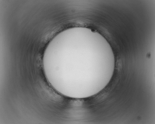 X0000116300318200912211907