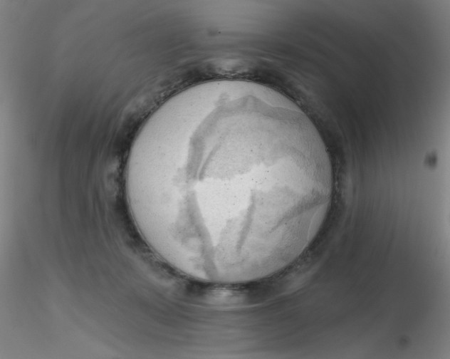 X0000116300319200912211907