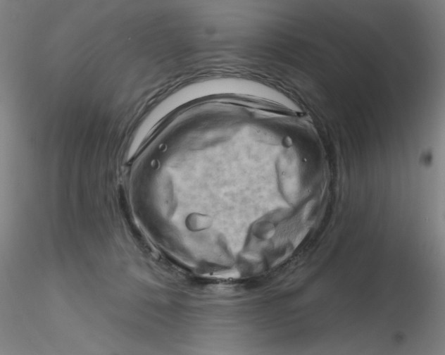 X0000116300320200912211907